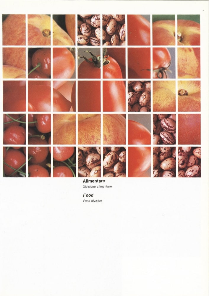 panigal-brochure-1985-30