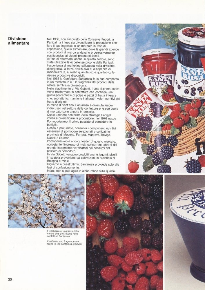 panigal-brochure-1985-31